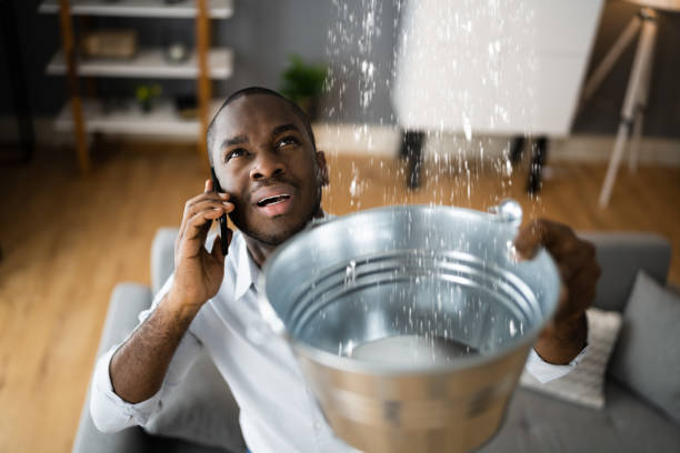 Reliable Othello, WA Water damage restoration Solutions